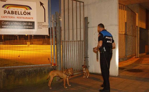 Un policía, con los dos perros abandonados y rescatados 