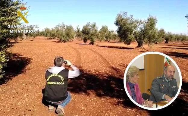 Detenidas 19 personas por hurtar y comprar 46 toneladas de aceitunas robadas en Badajoz
