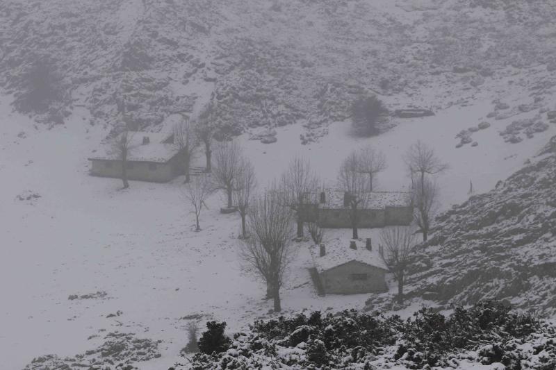 El invierno ha vuelto para quedarse en Asturias. La región se encuentra en alerta por nevadas, que mantienen Pajares cerrado para camiones y son obligatorias las cadenas en varios puertos de montaña