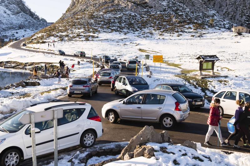 El sol de este domingo ha animado la asistencia a los Lagos de Covadonga, que se muestran cubiertos de blanco. Grandes y pequeños han disfrutado de la nieve y no han dudado en fotografiarse en el bello paraje.