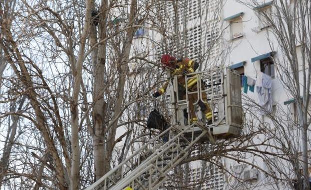 Un bombero intenta recuperar de un árbol la mochila que podría haber lanzado el presunto agresor.