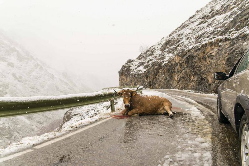 Las precipitaciones en forma de nieve llegarán a cotas de entre 400 y 600 metros