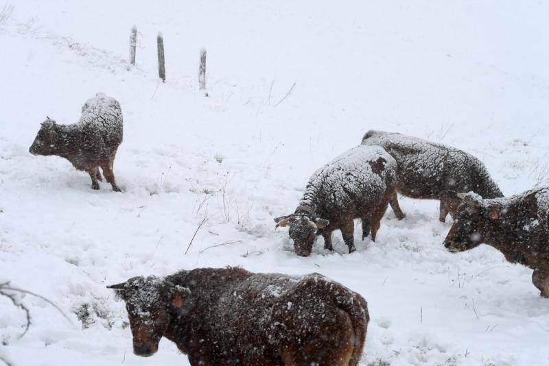 Las precipitaciones en forma de nieve llegarán a cotas de entre 400 y 600 metros