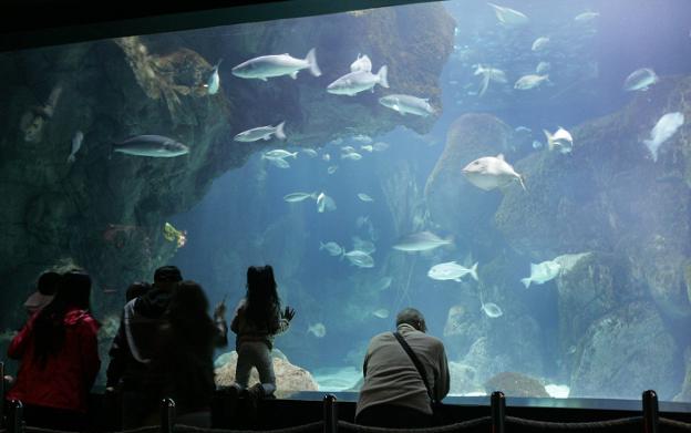 Visitantes en el Acuario de Poniente. 