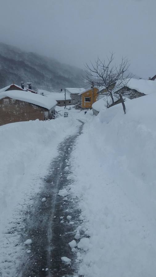 Impresionante nevada en el Occidente de Asturias