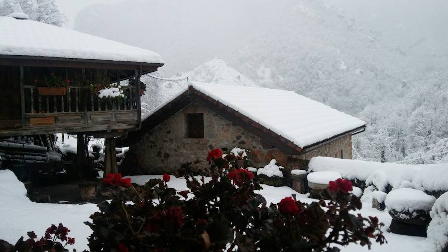 Impresionante nevada en el Occidente de Asturias