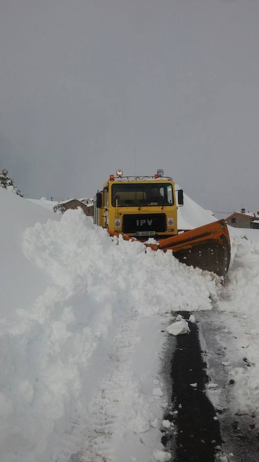 Impresionante nevada en el Occidente de Asturias