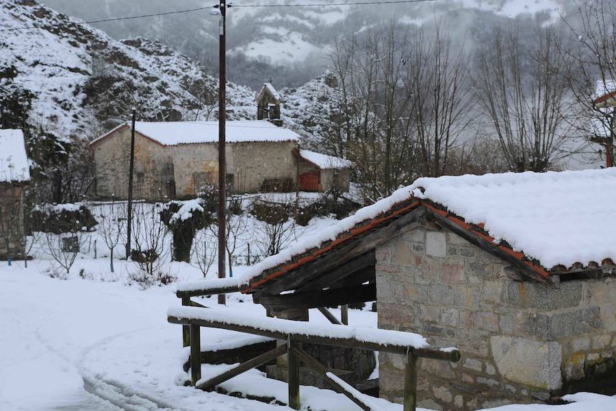 El concejo de Amieva se encuentra cubierto de un manto blanco tras las últimas nevadas, que dejan estas imágenes