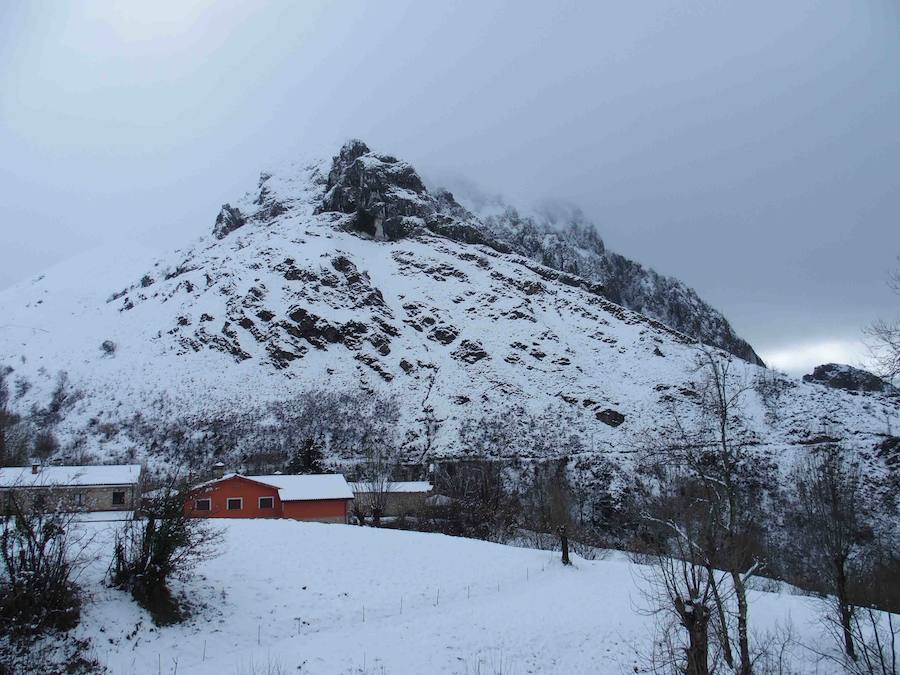 El concejo de Amieva se encuentra cubierto de un manto blanco tras las últimas nevadas, que dejan estas imágenes