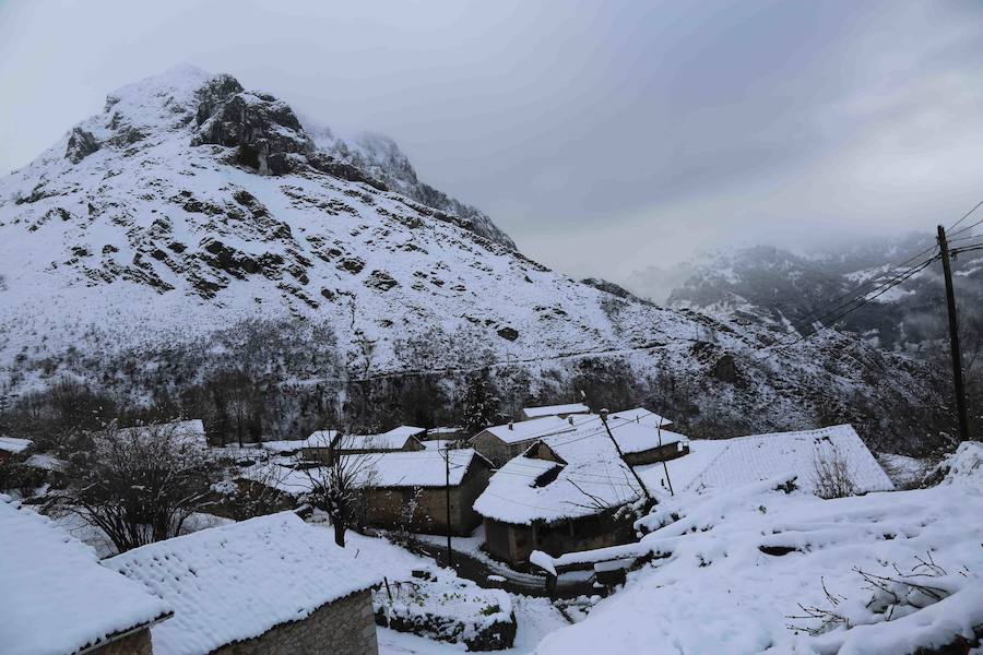 El concejo de Amieva se encuentra cubierto de un manto blanco tras las últimas nevadas, que dejan estas imágenes
