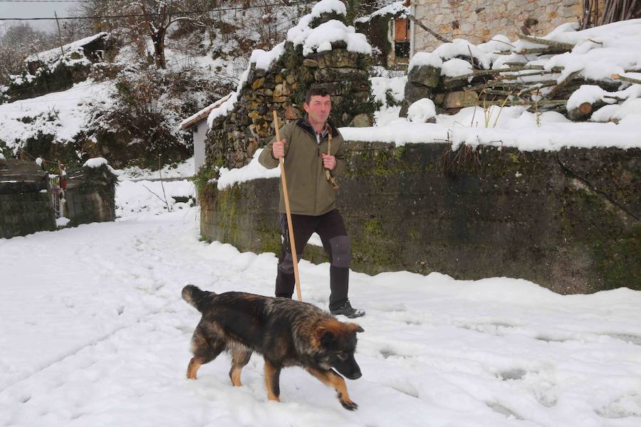 El concejo de Amieva se encuentra cubierto de un manto blanco tras las últimas nevadas, que dejan estas imágenes