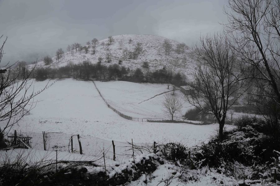 El concejo de Amieva se encuentra cubierto de un manto blanco tras las últimas nevadas, que dejan estas imágenes