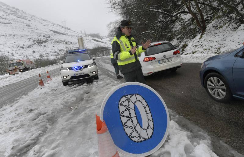 La llegada de un nuevo frente frío mantiene gran parte de Asturias bajo un manto blanco. Además de la nieve, la caída de árboles está complicando la circulación en varias carreteras de la región. 