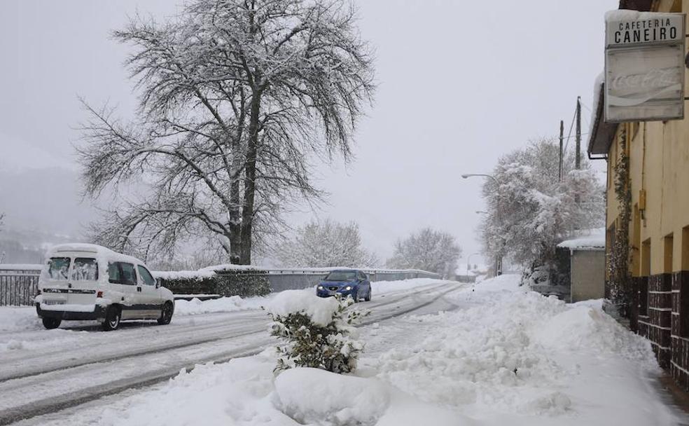 El temporal de nieve cubre de blanco el Suroccidente de Asturias