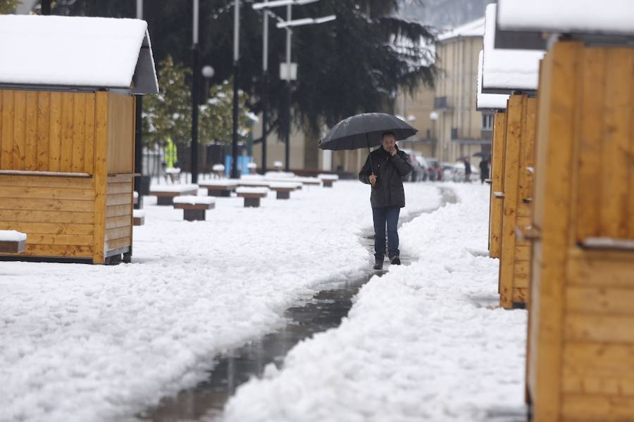 La llegada de un nuevo frente frío mantiene gran parte de Asturias bajo un manto blanco. Además de la nieve, la caída de árboles está complicando la circulación en varias carreteras de la región. 