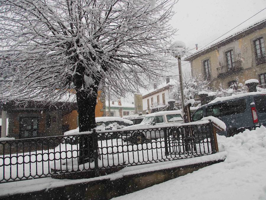 La llegada de un nuevo frente frío mantiene gran parte de Asturias bajo un manto blanco. Además de la nieve, la caída de árboles está complicando la circulación en varias carreteras de la región. 