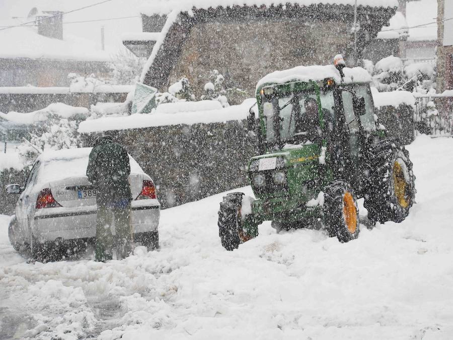 La llegada de un nuevo frente frío mantiene gran parte de Asturias bajo un manto blanco. Además de la nieve, la caída de árboles está complicando la circulación en varias carreteras de la región. 