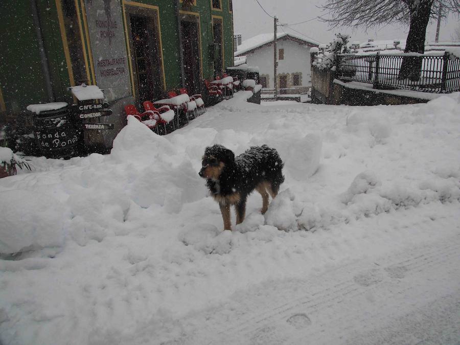 Los vecinos del Ponga hacen frente al invierno que ha vuelto a teñir de blanco el concejo. El concejo está rodeado de riscos y hayedos y es una de las poblaciones que se encuentran a mayor altura sobre el nivel del mar