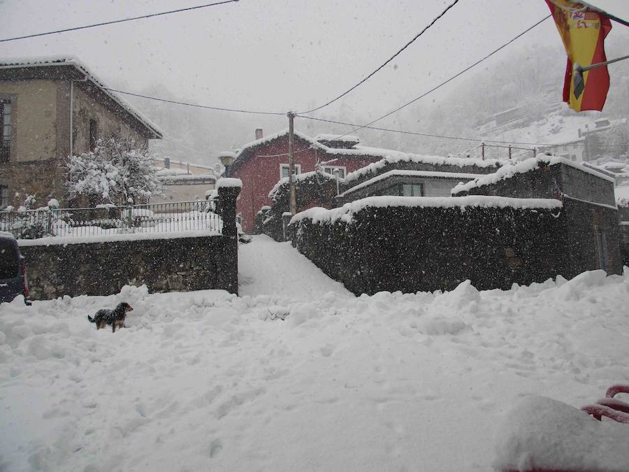 Los vecinos del Ponga hacen frente al invierno que ha vuelto a teñir de blanco el concejo. El concejo está rodeado de riscos y hayedos y es una de las poblaciones que se encuentran a mayor altura sobre el nivel del mar