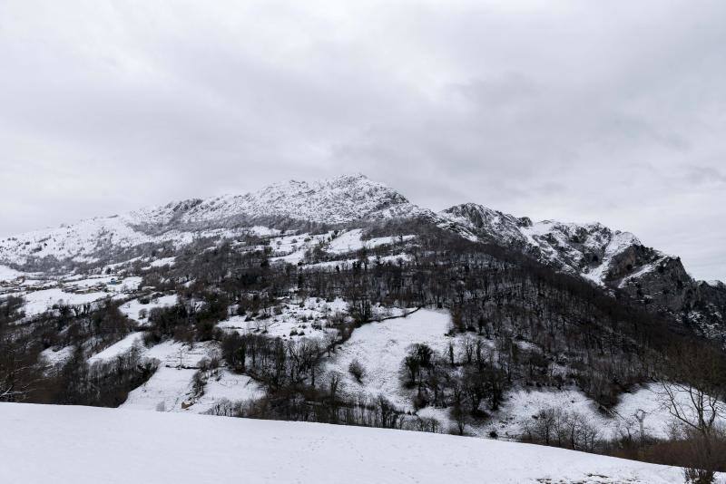 El Naranco cubierto de nieve se ha convertido en toda una atracción para muchos vecinos de Oviedo, que no han dudado en acercarse a disfrutar de la estampa. Otros puntos como Afilorios o Pedrovieya también se han cubierto de nieve. 