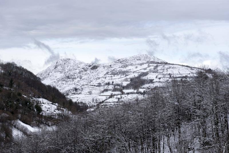 El Naranco cubierto de nieve se ha convertido en toda una atracción para muchos vecinos de Oviedo, que no han dudado en acercarse a disfrutar de la estampa. Otros puntos como Afilorios o Pedrovieya también se han cubierto de nieve. 