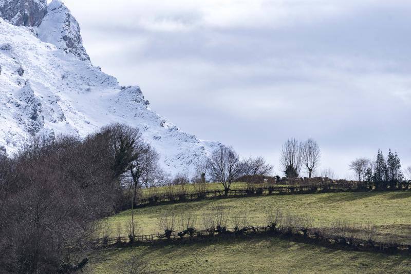 El Naranco cubierto de nieve se ha convertido en toda una atracción para muchos vecinos de Oviedo, que no han dudado en acercarse a disfrutar de la estampa. Otros puntos como Afilorios o Pedrovieya también se han cubierto de nieve. 