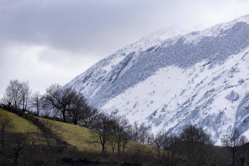 El Naranco cubierto de nieve se ha convertido en toda una atracción para muchos vecinos de Oviedo, que no han dudado en acercarse a disfrutar de la estampa. Otros puntos como Afilorios o Pedrovieya también se han cubierto de nieve. 