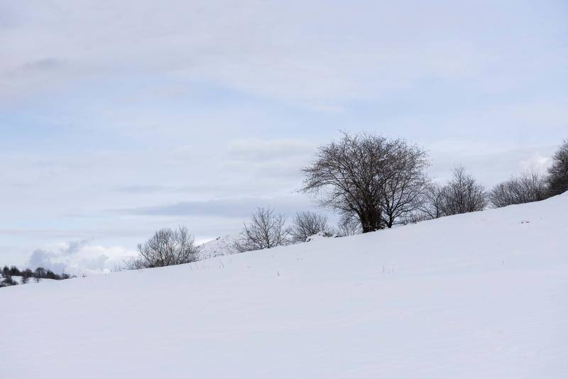 El Naranco cubierto de nieve se ha convertido en toda una atracción para muchos vecinos de Oviedo, que no han dudado en acercarse a disfrutar de la estampa. Otros puntos como Afilorios o Pedrovieya también se han cubierto de nieve. 