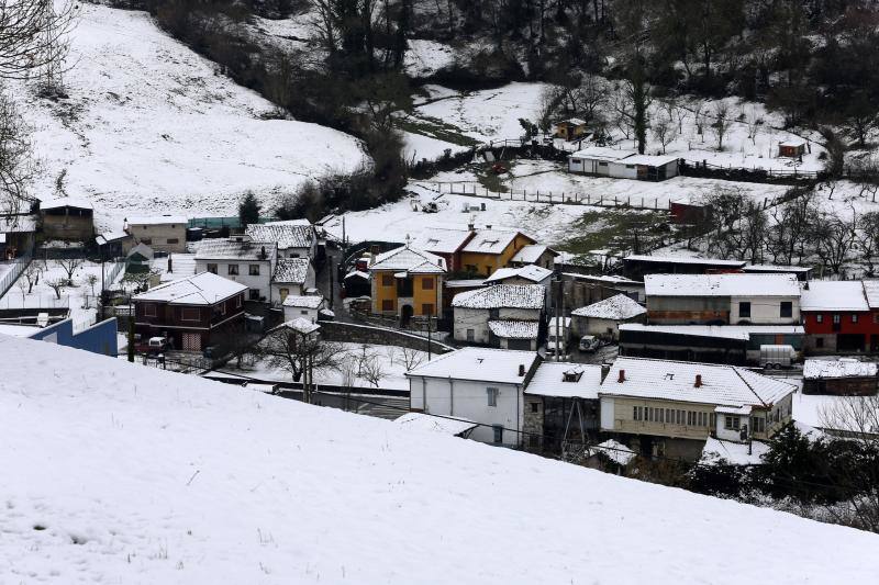 Los concejos del Suroccidente y los Valles Mineros son los más afectados por las intensas nevadas de los últimos días que, no obstante, han hecho acto de presencia en cotas más bajas.