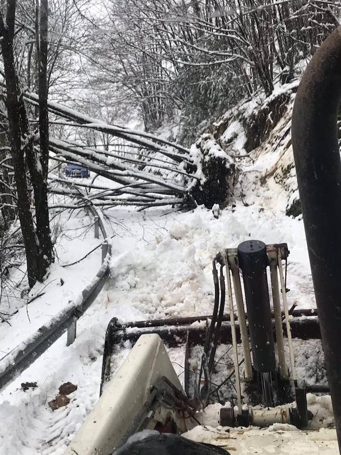 En los municipos de las Cuencas se afanan por despejar los accesos a los pequeños núcleos de población, que han quedado impracticables, no solo por la nieve acumulada, sino por argayos y caídas de árboles. 