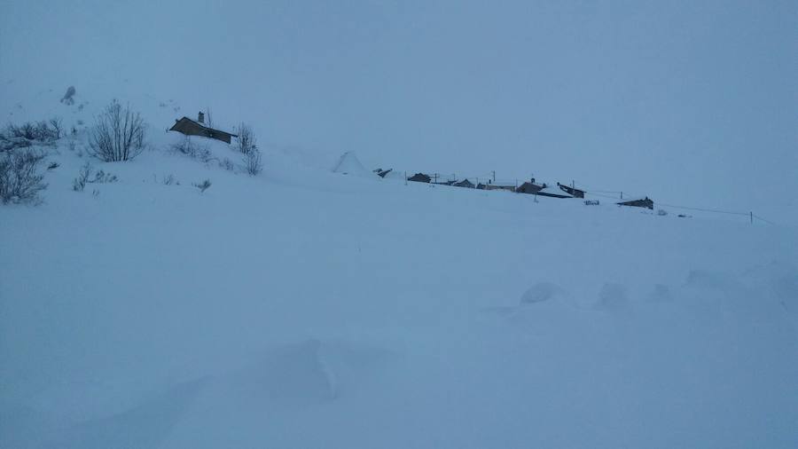 La nieve ha cubierto de un manto blanco gran parte del Suroccidente de Asturias, donde ha dejado importantes problemas en comunicaciones e infraestructuras eléctricas. Una de las vías con mayores complicaciones es el puerto de Leitariegos, en Cangas del Narcea.