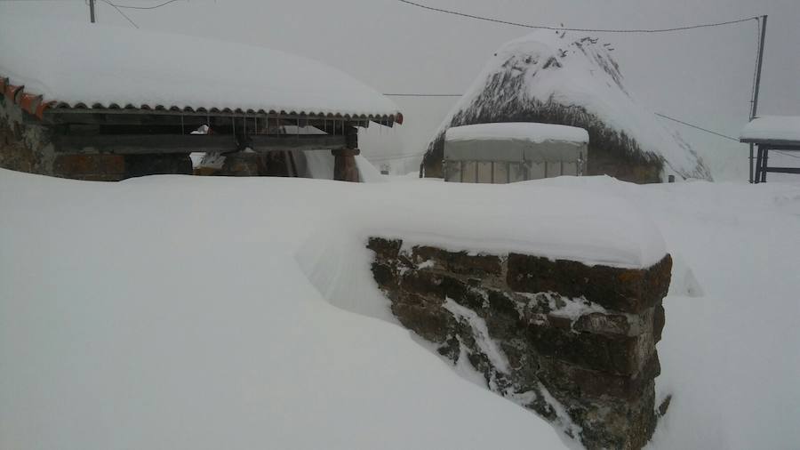 La nieve ha cubierto de un manto blanco gran parte del Suroccidente de Asturias, donde ha dejado importantes problemas en comunicaciones e infraestructuras eléctricas. Una de las vías con mayores complicaciones es el puerto de Leitariegos, en Cangas del Narcea.