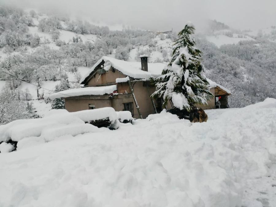 La nieve ha cubierto de un manto blanco gran parte del Suroccidente de Asturias, donde ha dejado importantes problemas en comunicaciones e infraestructuras eléctricas. Una de las vías con mayores complicaciones es el puerto de Leitariegos, en Cangas del Narcea.