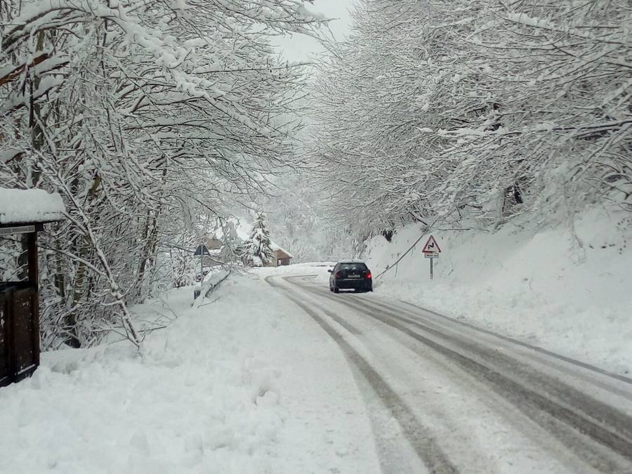 La nieve ha cubierto de un manto blanco gran parte del Suroccidente de Asturias, donde ha dejado importantes problemas en comunicaciones e infraestructuras eléctricas. Una de las vías con mayores complicaciones es el puerto de Leitariegos, en Cangas del Narcea.