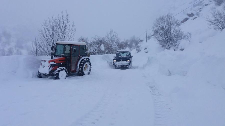 La nieve ha cubierto de un manto blanco gran parte del Suroccidente de Asturias, donde ha dejado importantes problemas en comunicaciones e infraestructuras eléctricas. Una de las vías con mayores complicaciones es el puerto de Leitariegos, en Cangas del Narcea.