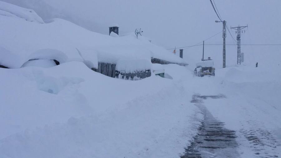 La nieve ha cubierto de un manto blanco gran parte del Suroccidente de Asturias, donde ha dejado importantes problemas en comunicaciones e infraestructuras eléctricas. Una de las vías con mayores complicaciones es el puerto de Leitariegos, en Cangas del Narcea.