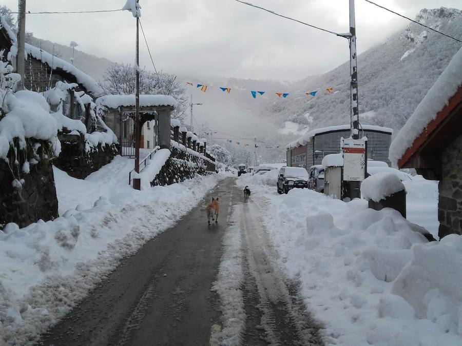 Localidades del Oriente de Asturias como Tielve o La Robellada están bajo un manto blanco. Las carreteras presentan cuantiosos problemas y el riesgo de aludes es importante en puntos como Sotres. 