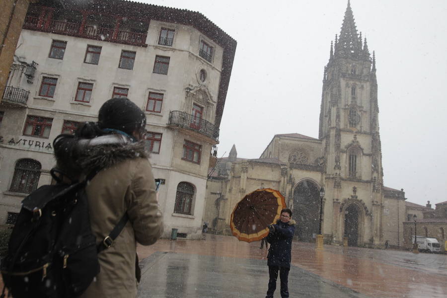 Oriente, Occidente, Valles Mineros... Incluso Oviedo ha vivido este miércoles una jornada marcada por las intensas precipitaciones en forma de nieve, que sigue cayendo en cotas bajas.