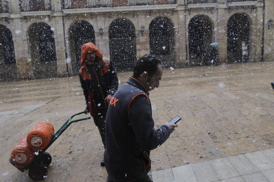 Oriente, Occidente, Valles Mineros... Incluso Oviedo ha vivido este miércoles una jornada marcada por las intensas precipitaciones en forma de nieve, que sigue cayendo en cotas bajas.