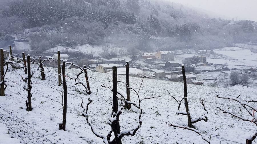 Oriente, Occidente, Valles Mineros... Incluso Oviedo ha vivido este miércoles una jornada marcada por las intensas precipitaciones en forma de nieve, que sigue cayendo en cotas bajas.