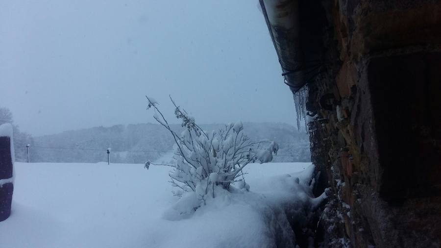 Oriente, Occidente, Valles Mineros... Incluso Oviedo ha vivido este miércoles una jornada marcada por las intensas precipitaciones en forma de nieve, que sigue cayendo en cotas bajas.