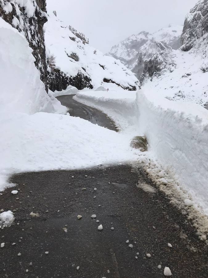 Oriente, Occidente, Valles Mineros... Incluso Oviedo ha vivido este miércoles una jornada marcada por las intensas precipitaciones en forma de nieve, que sigue cayendo en cotas bajas.