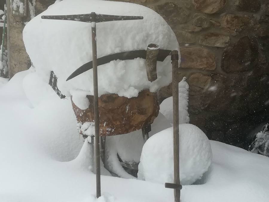 Oriente, Occidente, Valles Mineros... Incluso Oviedo ha vivido este miércoles una jornada marcada por las intensas precipitaciones en forma de nieve, que sigue cayendo en cotas bajas.