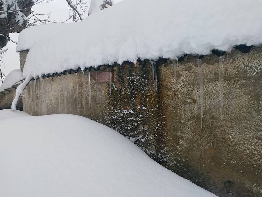 Oriente, Occidente, Valles Mineros... Incluso Oviedo ha vivido este miércoles una jornada marcada por las intensas precipitaciones en forma de nieve, que sigue cayendo en cotas bajas.