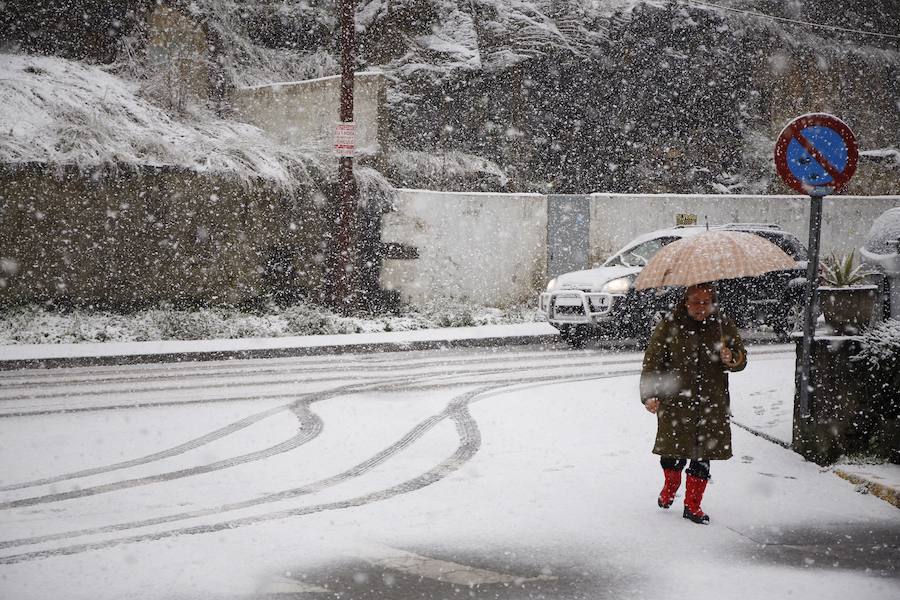 Los Valles Mineros siguen cubiertos de blanco. Localidades como Figaredo, en Mieres, o La Felguera, en Langreo, han registrado esta mañana intensas precipitaciones en forma de nieve.