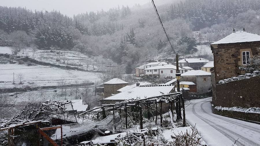 La cuenca media y alta del Navia y la comarca de los Oscos están cubiertas de un manto blanco. La nieve está dejando bellas estampas, pero está causando problemas en las comunicaciones y el suministro eléctrico.