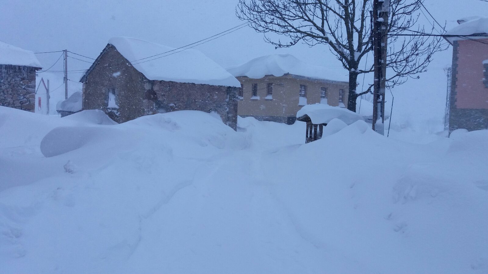 La cuenca media y alta del Navia y la comarca de los Oscos están cubiertas de un manto blanco. La nieve está dejando bellas estampas, pero está causando problemas en las comunicaciones y el suministro eléctrico.