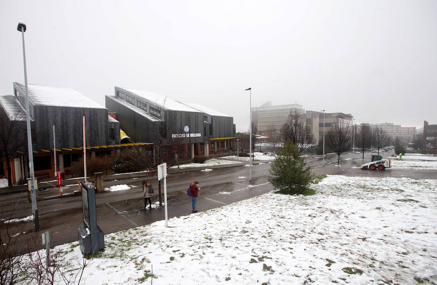 La nieve ha llegado al centro de Oviedo. Durante toda la mañana de este miércoles, los trapos han caído de forma persistente, aunque no llegó a cuajar.