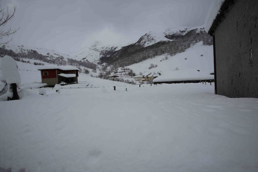 Más de un metro de nieve rodea el acceso de Sotres, en el concejo de Cabrales. El paso quedó cerrado ayer por aludes, cuyo riesgo de caída sigue siendo muy alto.