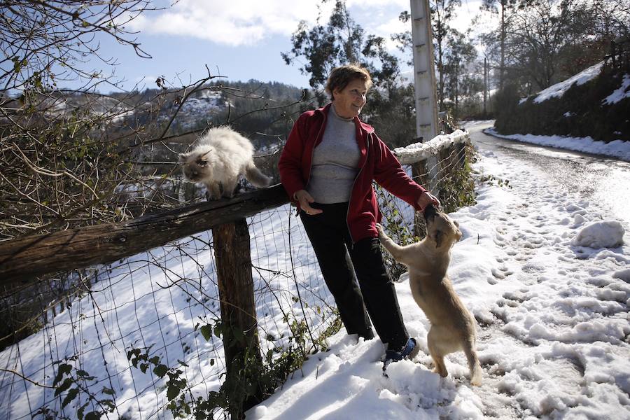 Continúa la ola de frío en Asturias